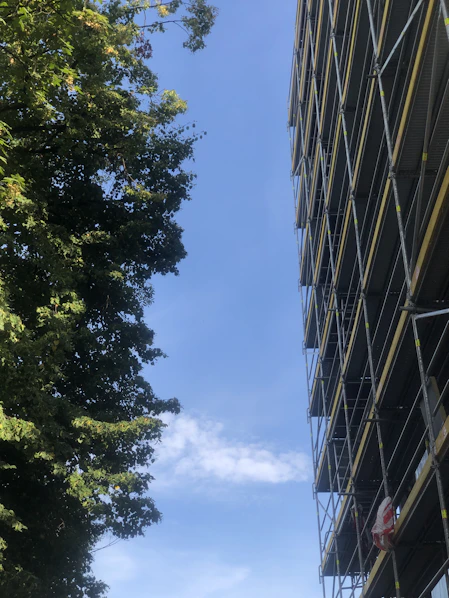 scaffolding near trees