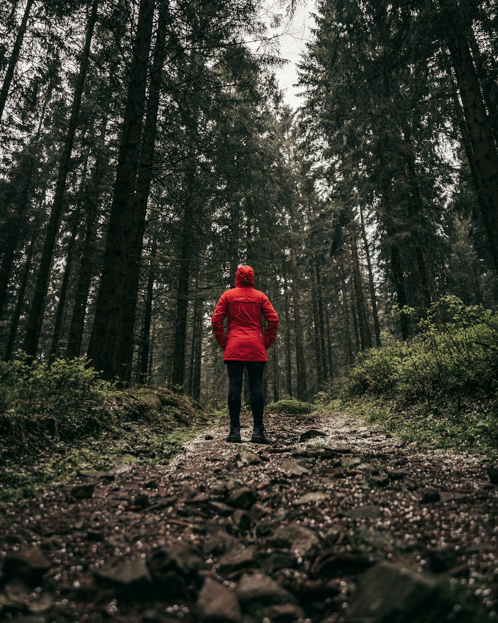 Frau, die tagsüber vor Bäumen steht