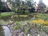 A serene pond is surrounded by lush greenery and vibrant wildflowers. Lily pads float on the water's surface, and large, mature trees provide a shady canopy. Decorative rocks line the pond's edge, with small plant identification signs visible.