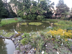 A peaceful pond in Ostrander Park surrounded by lush greenery and blooming wildflowers.