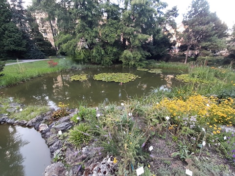 A serene pond is surrounded by lush greenery and vibrant wildflowers. Lily pads float on the water's surface, and large, mature trees provide a shady canopy. Decorative rocks line the pond's edge, with small plant identification signs visible.