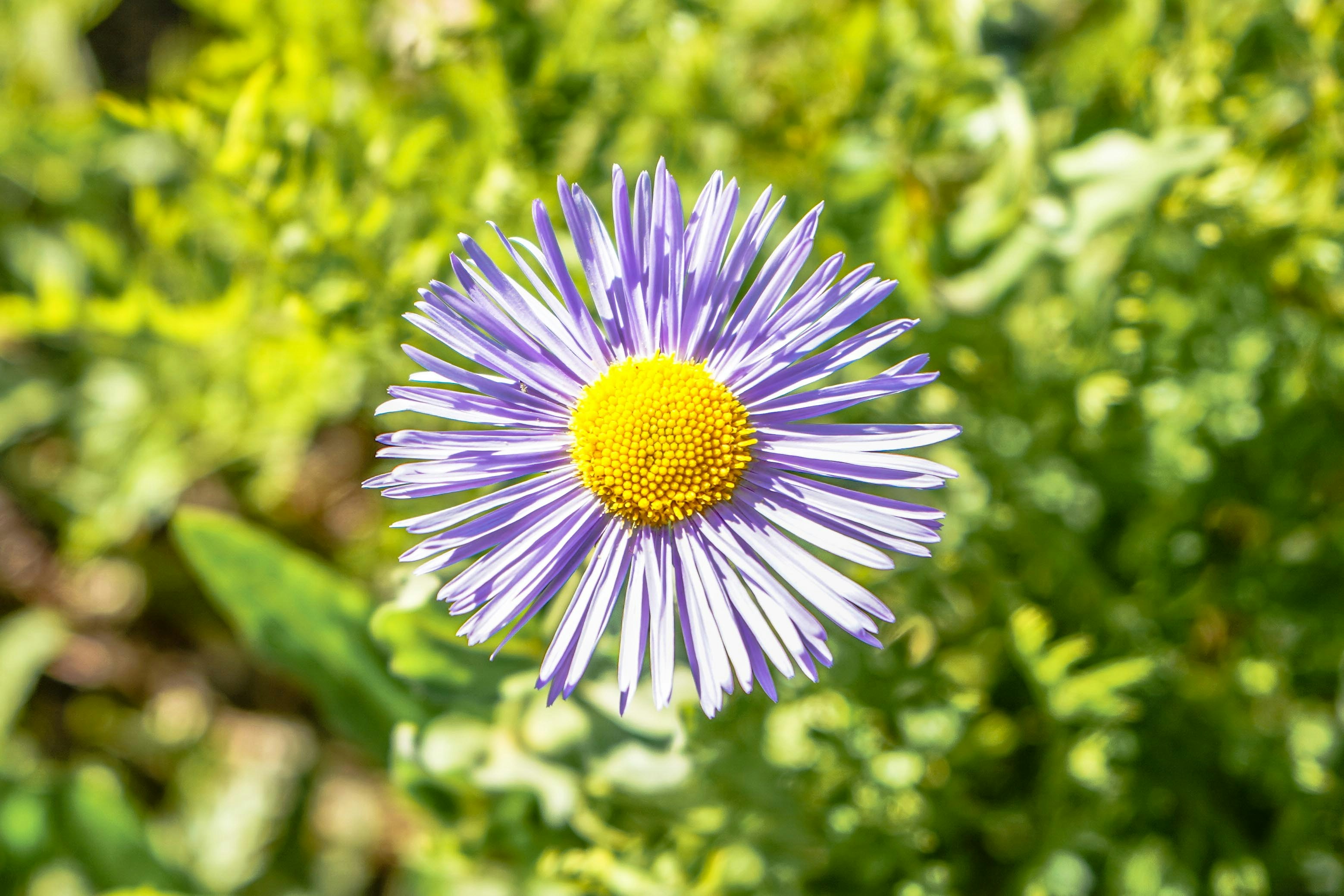 Photo by tuckerhatch10