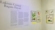 An exhibition wall featuring botanical illustrations with a descriptive text on the left. The text panel includes several paragraphs in Indonesian, and on the right are framed botanical art pieces depicting various plants and flowers. Small colored sticky notes are attached below and beside these frames.