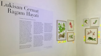 An exhibition wall featuring botanical illustrations with a descriptive text on the left. The text panel includes several paragraphs in Indonesian, and on the right are framed botanical art pieces depicting various plants and flowers. Small colored sticky notes are attached below and beside these frames.