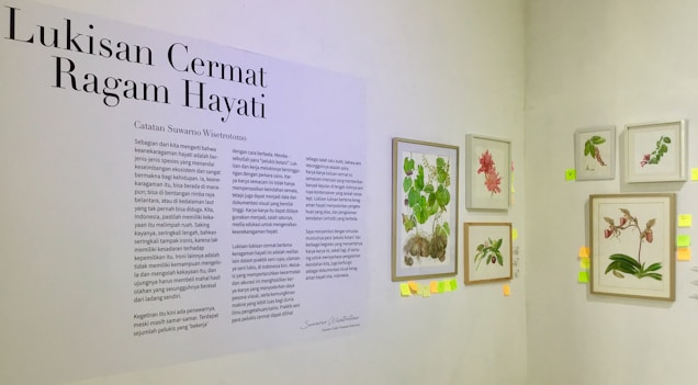 An exhibition wall featuring botanical illustrations with a descriptive text on the left. The text panel includes several paragraphs in Indonesian, and on the right are framed botanical art pieces depicting various plants and flowers. Small colored sticky notes are attached below and beside these frames.