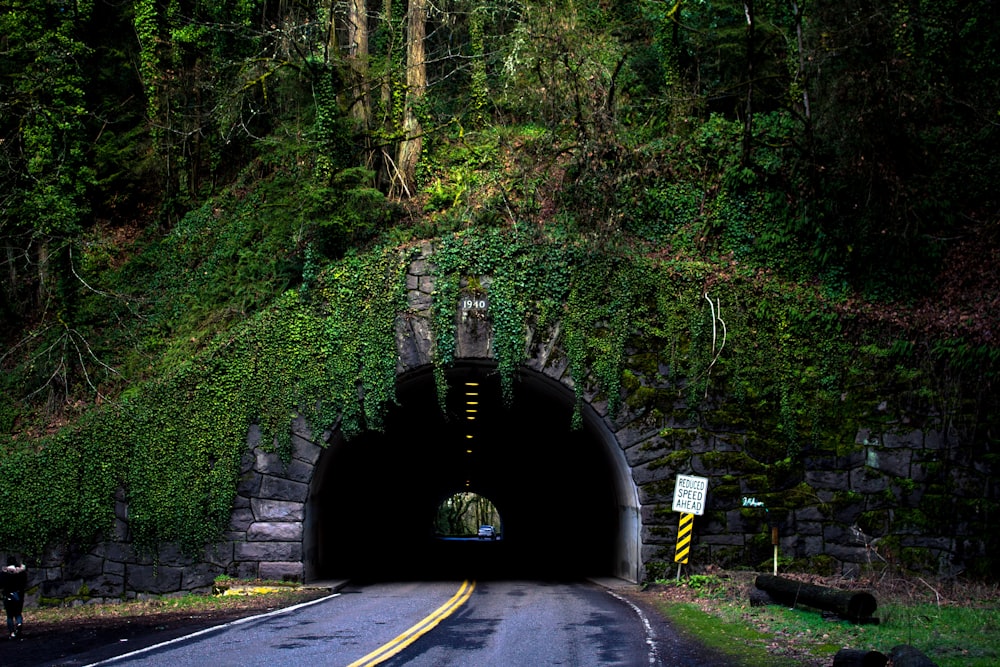 tunnel in forest