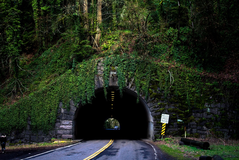 Tunnel im Wald