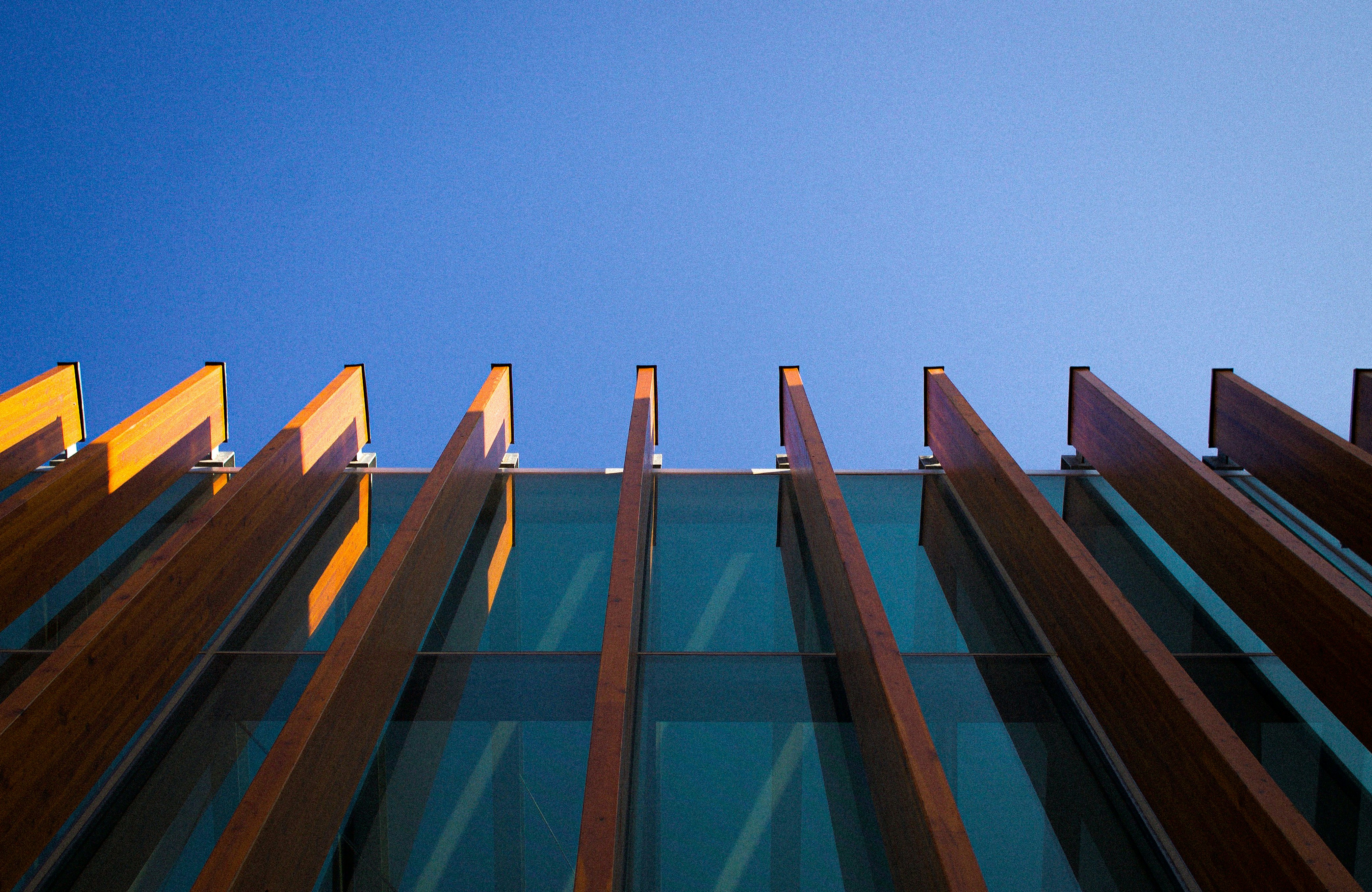 low angle photo of building