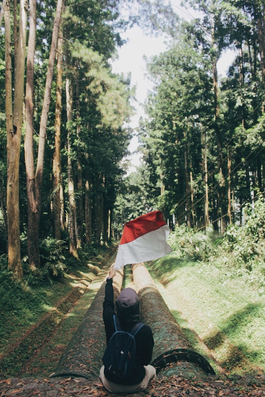 person sitting on road holding Indonesia flag surrounded with tall and green trees during daytime in Purwokerto Indonesia