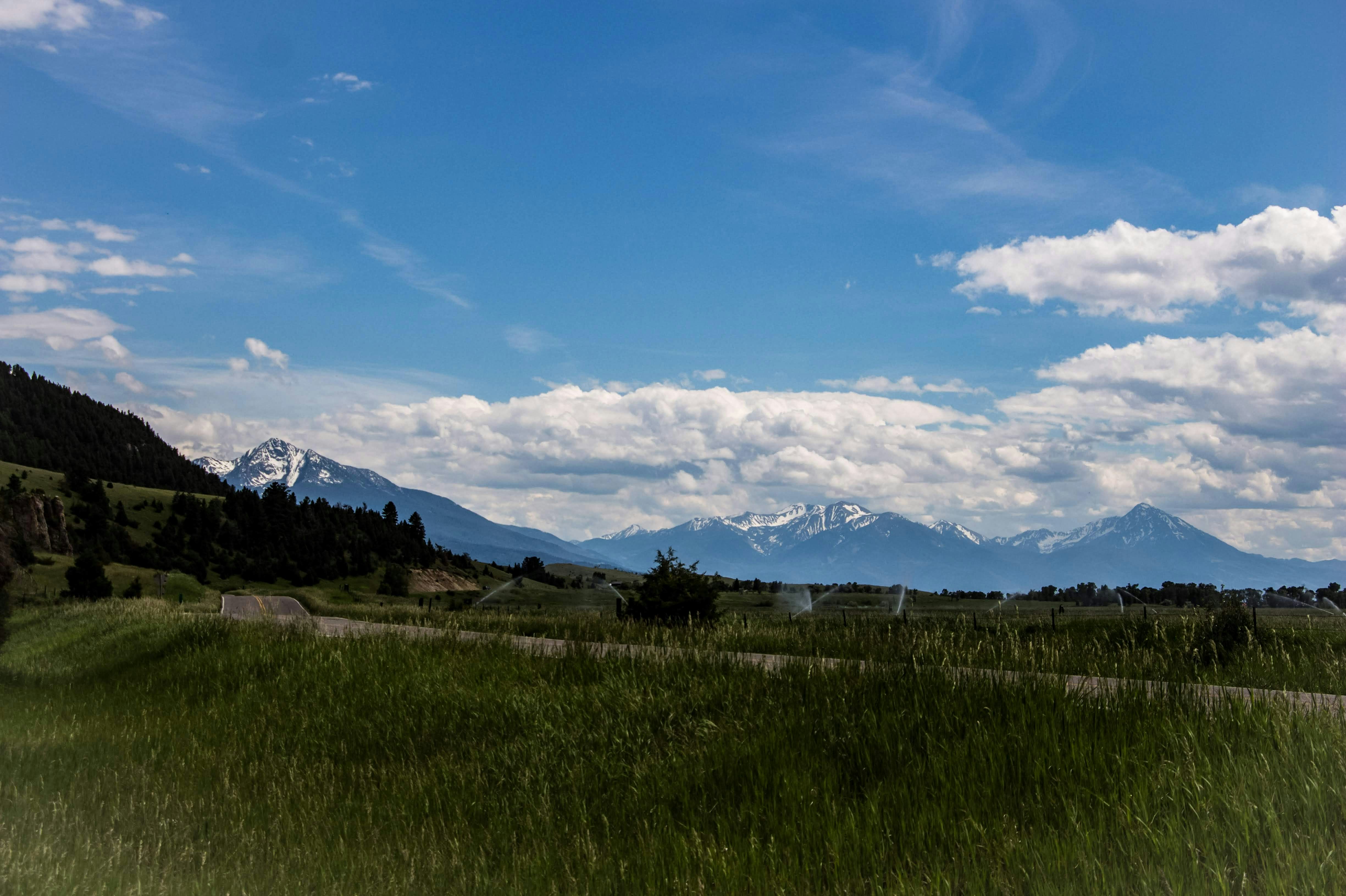 Photo by gruberbelle