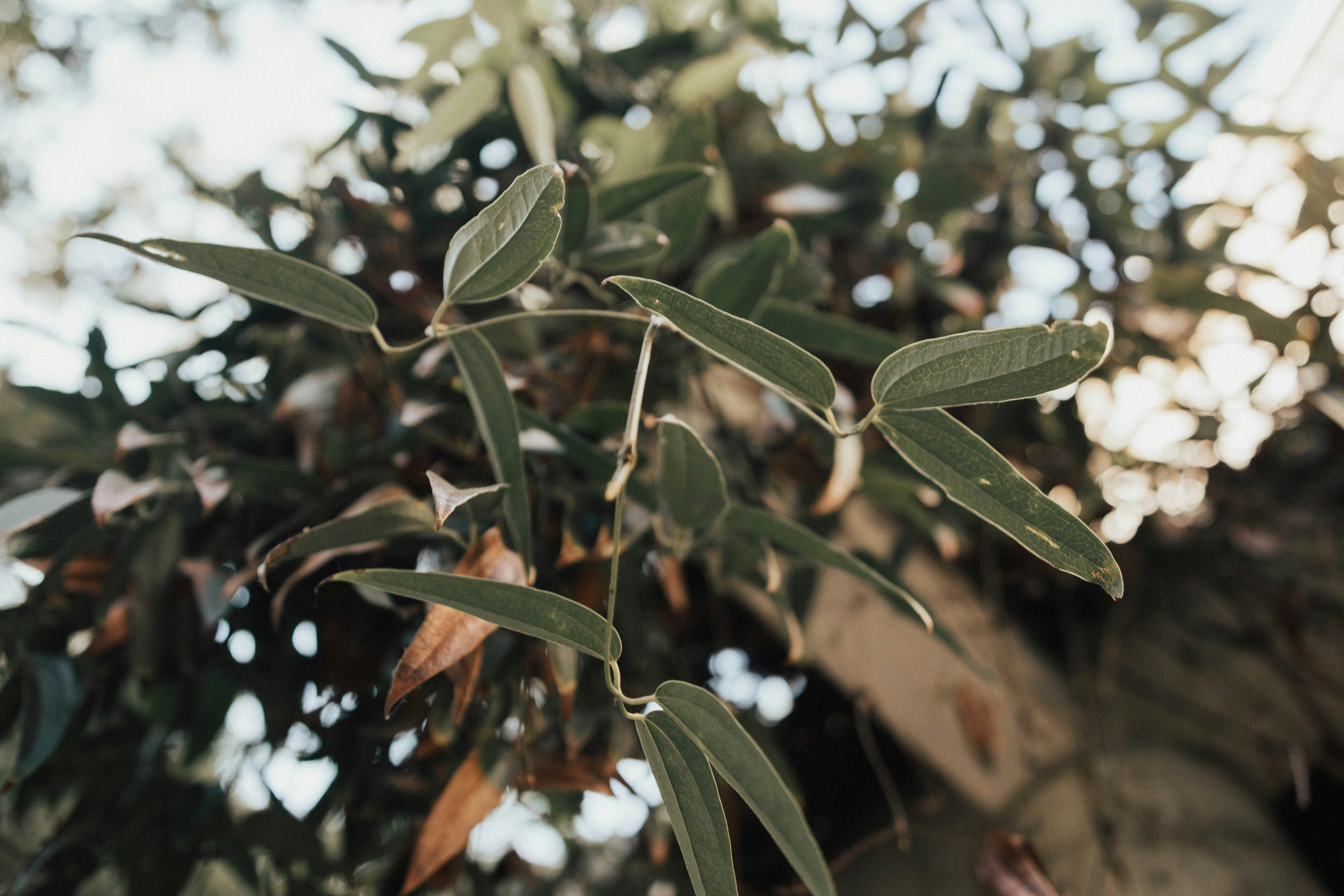 Photo by relentlessjpg