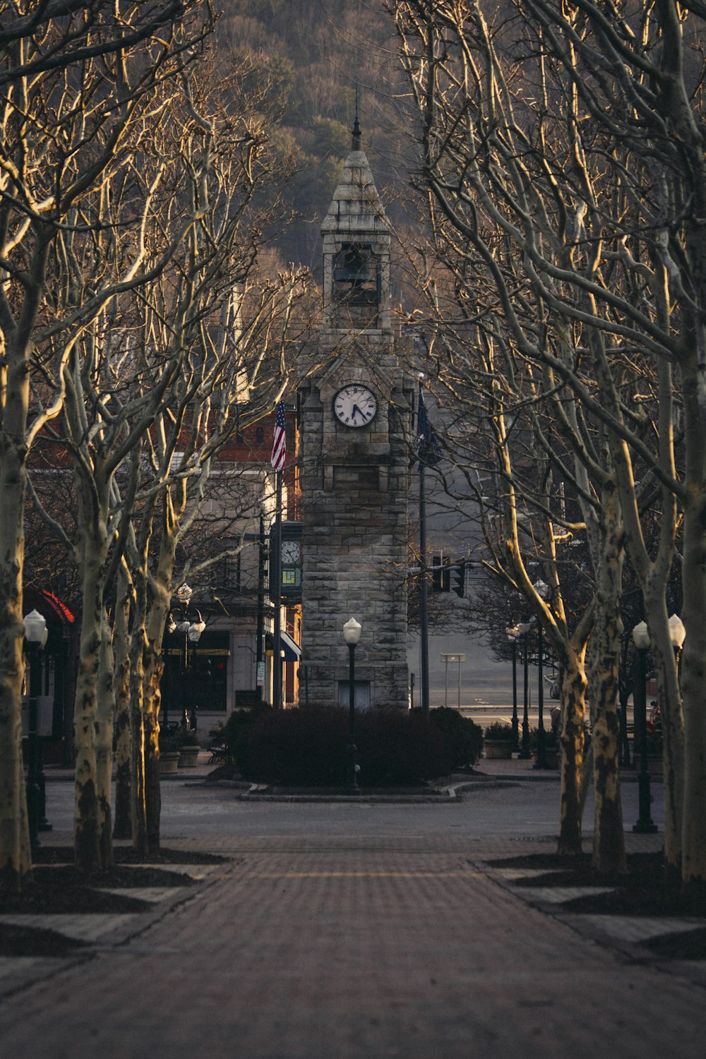 trees near tower