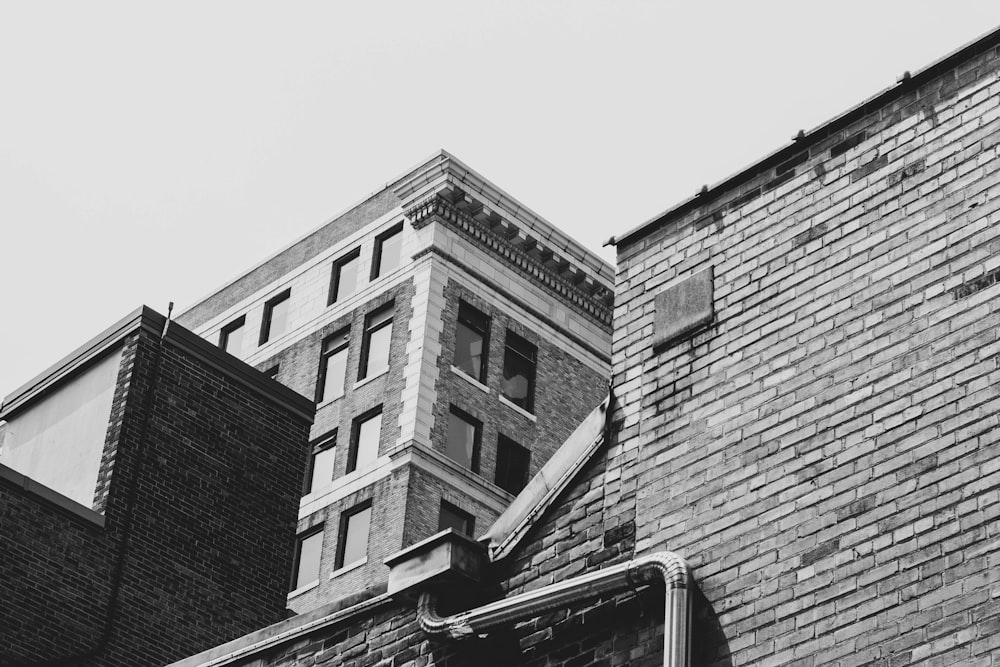 Photographie en niveaux de gris d’un bâtiment en béton