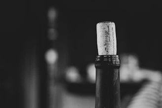 A close-up of hands sealing a wine bottle with a cork, emphasizing craftsmanship.
