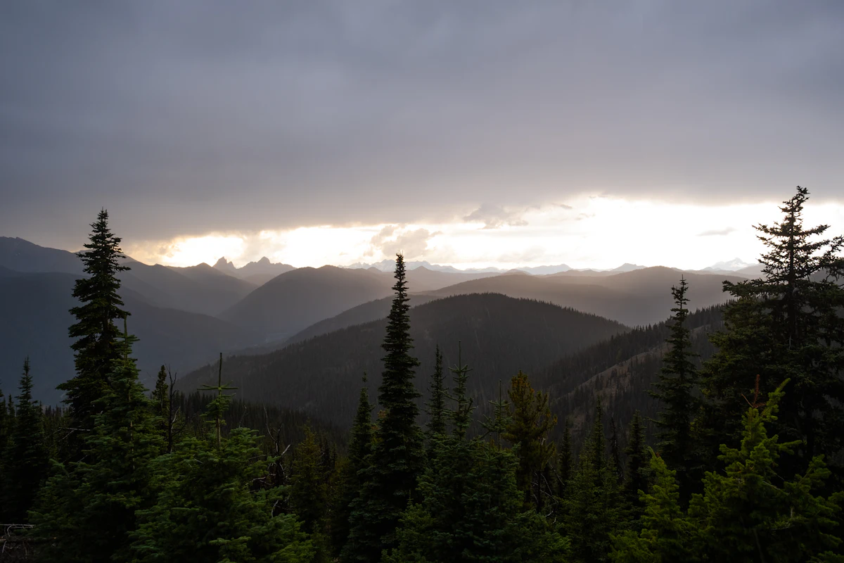 Fir trees and layered ridges under storm clouds in Manning Park