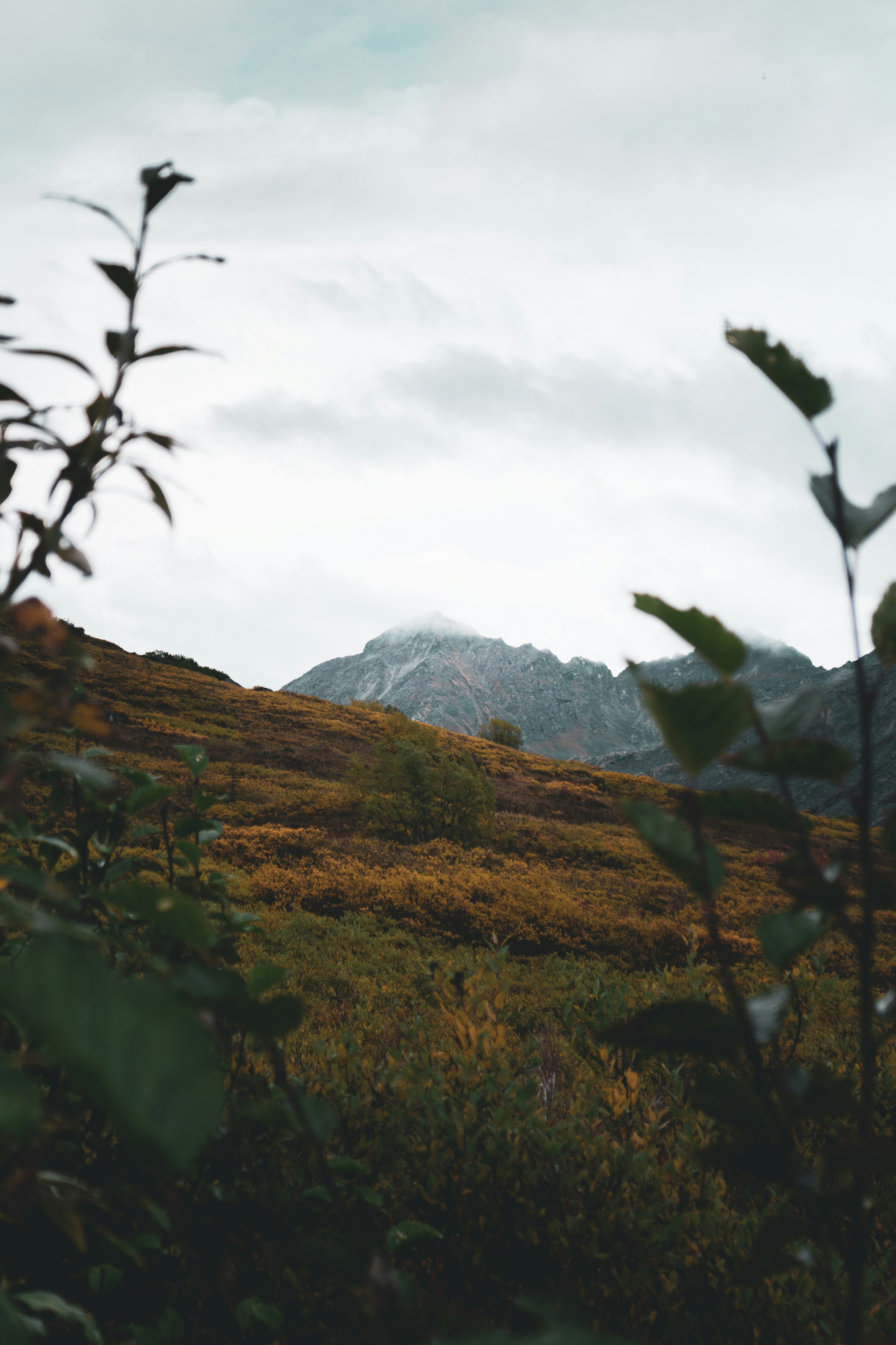 Photo by jaron_mobley