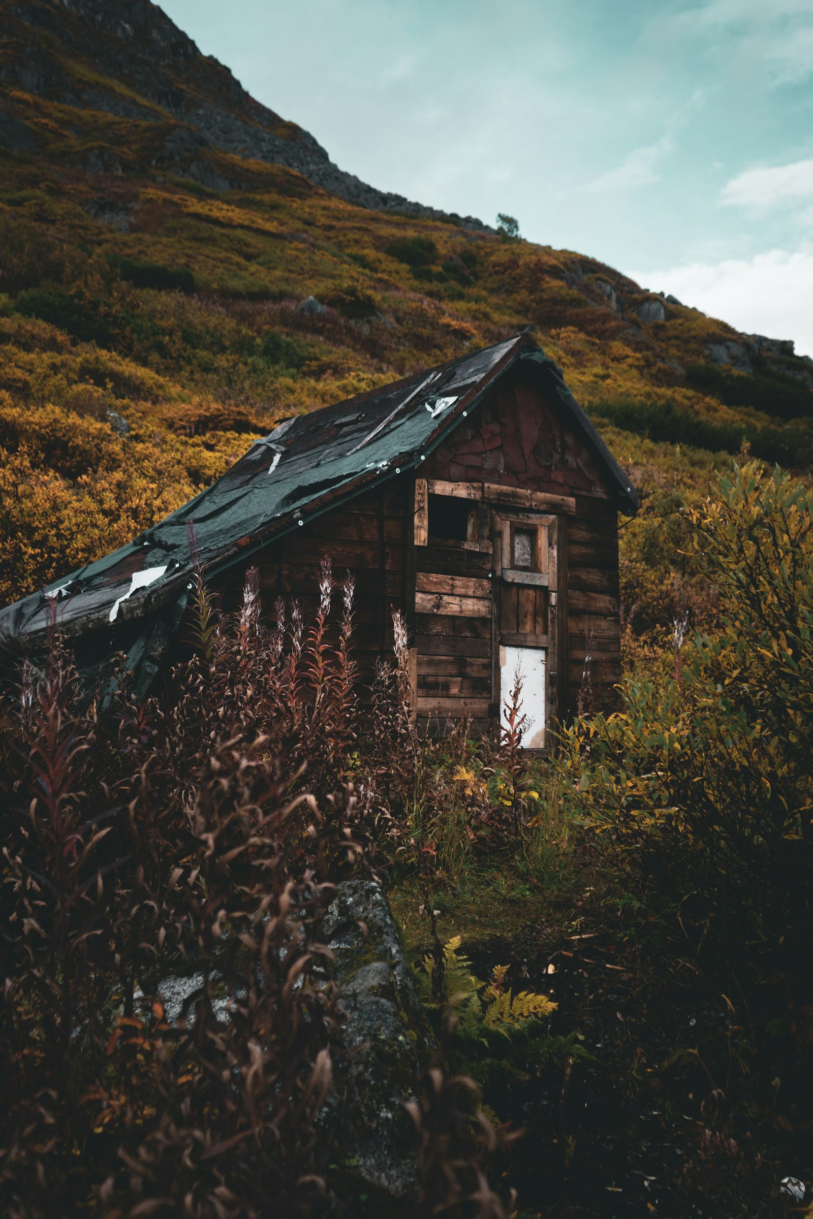 Sony a6500 + Sony FE 28-70mm F3.5-5.6 OSS sample photo. Brown and black wooden photography