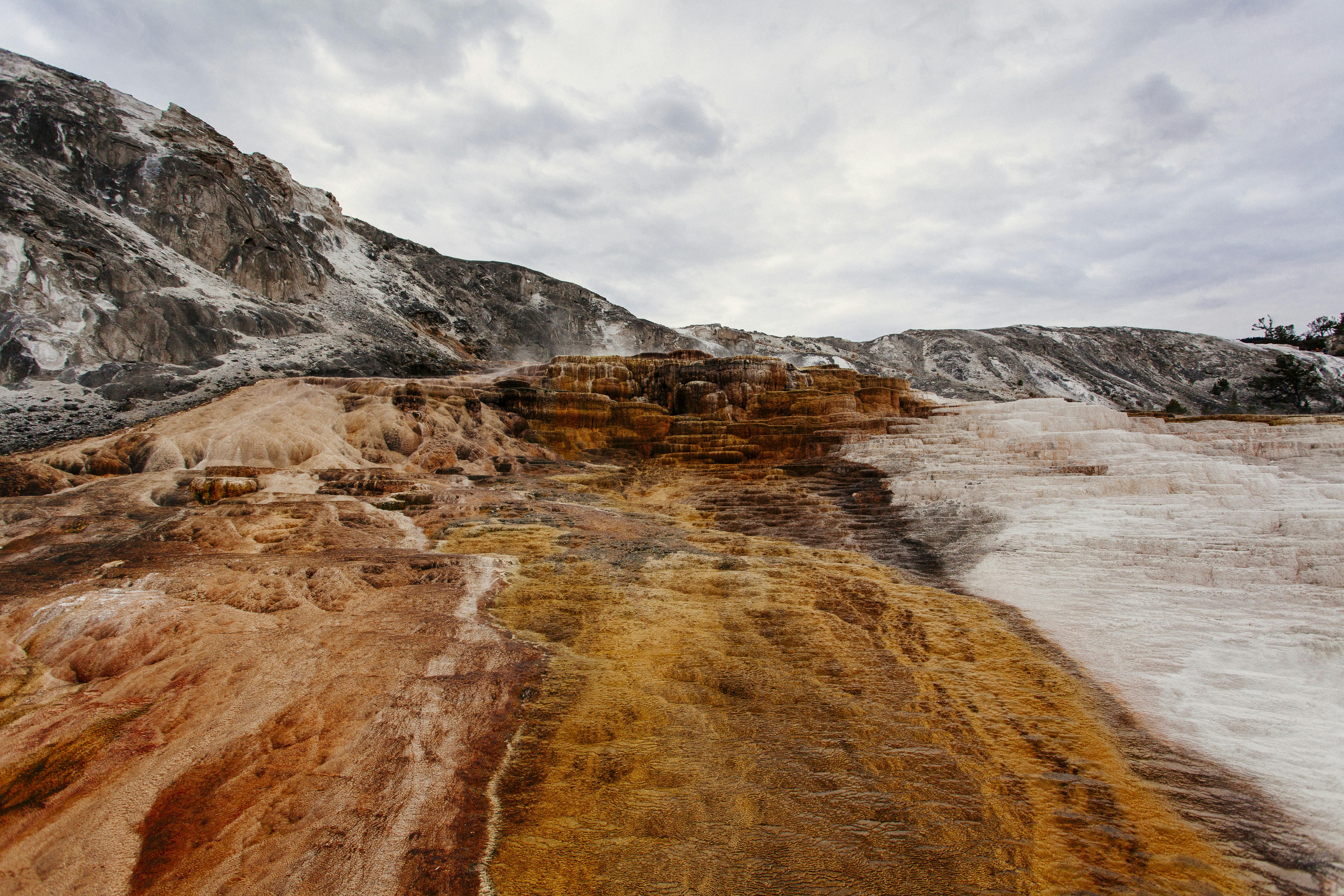 Yellowstone National Park, USA - Mammoth Hot Springs