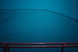 A black net stretches across the frame in a diagonal pattern against a bright blue background. The bottom edge features a red railing or border that provides contrast to the predominant blue. The net is finely woven and creates a geometric, crisscross pattern.