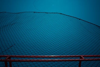 A black net stretches across the frame in a diagonal pattern against a bright blue background. The bottom edge features a red railing or border that provides contrast to the predominant blue. The net is finely woven and creates a geometric, crisscross pattern.