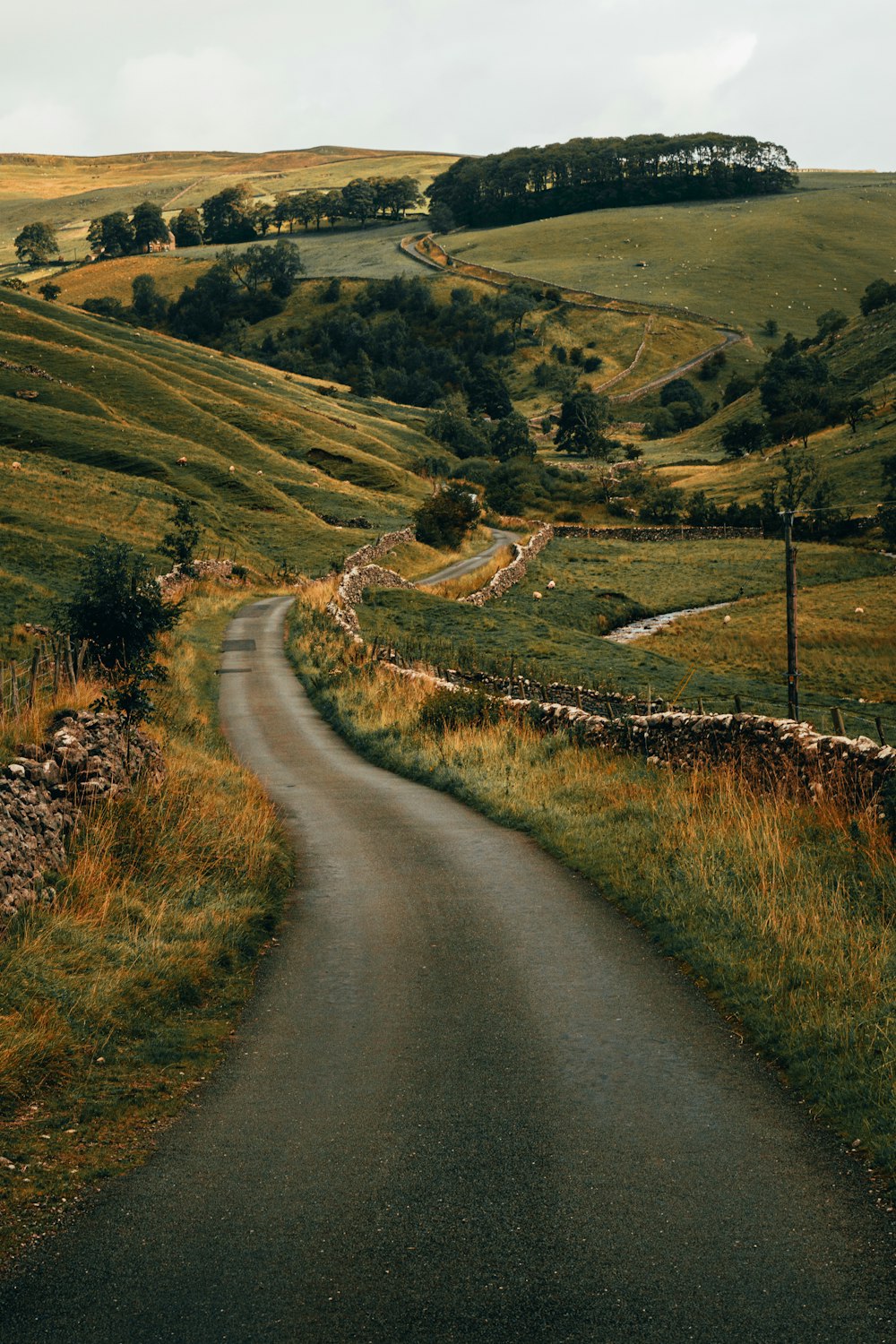 Photographie de route vide pendant la journée