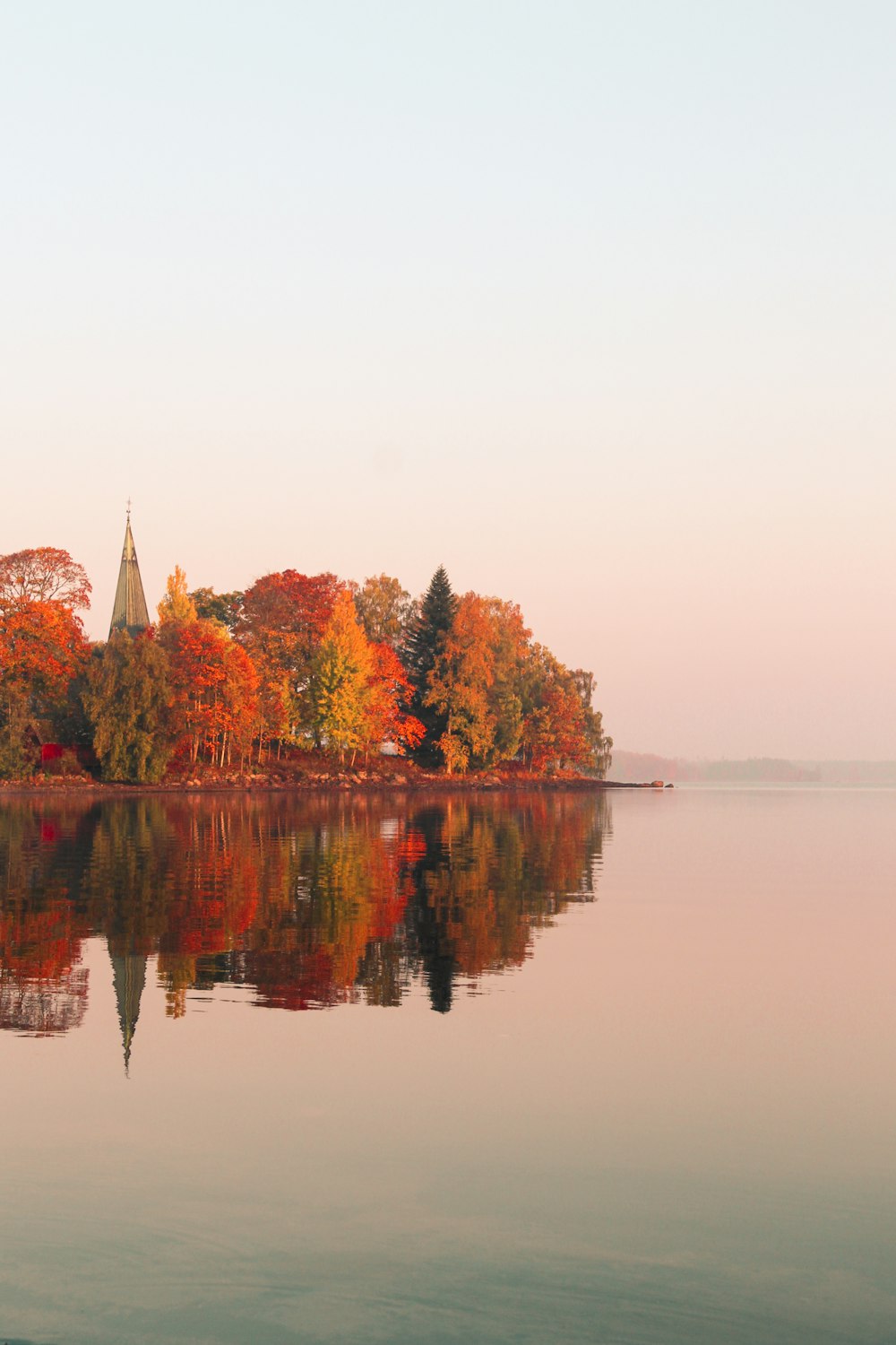 Arbres feuillus orange et vert près du lac