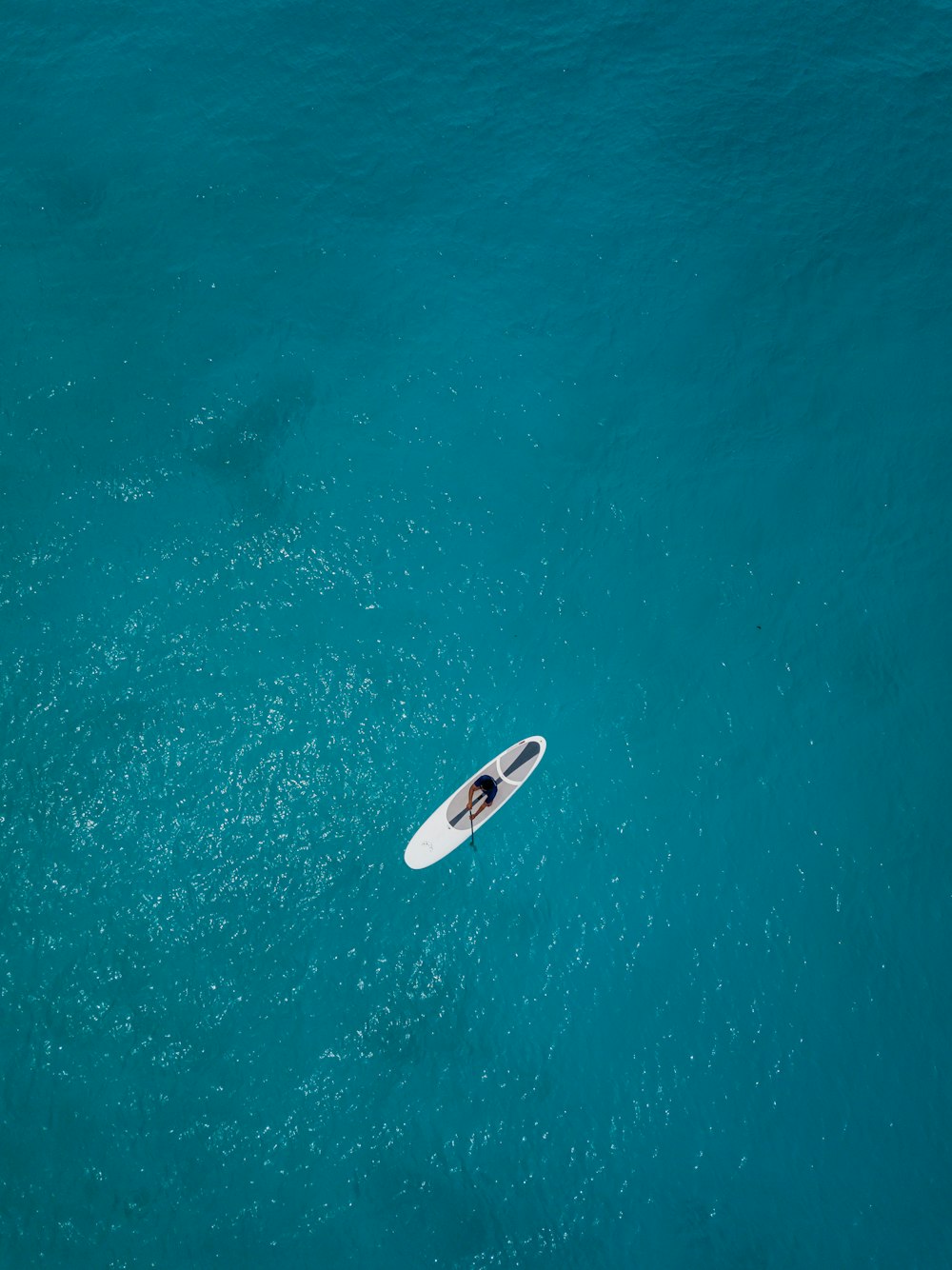 900 以上の海の背景画像 Unsplash で Hd 背景をダウンロード