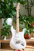 A white electric guitar is positioned in front of a diverse array of houseplants. The guitar's body and neck are distinctly visible, with its strings and tuning pegs. Behind the guitar, various green plants in pots are arranged on a wooden surface.