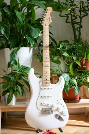 A white electric guitar is positioned in front of a diverse array of houseplants. The guitar's body and neck are distinctly visible, with its strings and tuning pegs. Behind the guitar, various green plants in pots are arranged on a wooden surface.