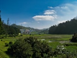 A lush, green landscape with a village nestled against gently rolling hills and surrounded by dense forest. The sky is clear with a few clouds, and there are visible power lines. The foreground features wetlands with various plants growing.