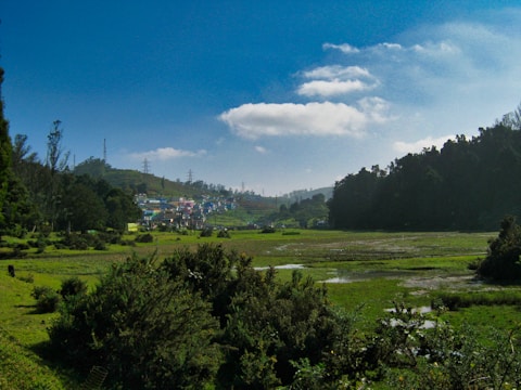 A lush, green landscape with a village nestled against gently rolling hills and surrounded by dense forest. The sky is clear with a few clouds, and there are visible power lines. The foreground features wetlands with various plants growing.