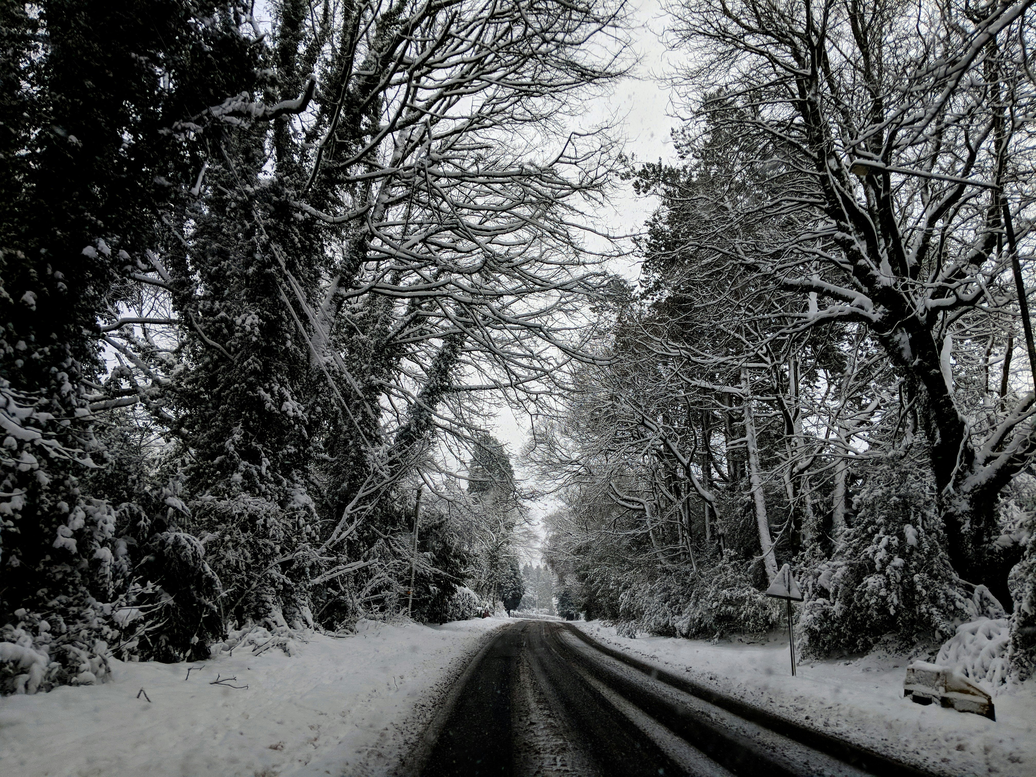 A cold road
