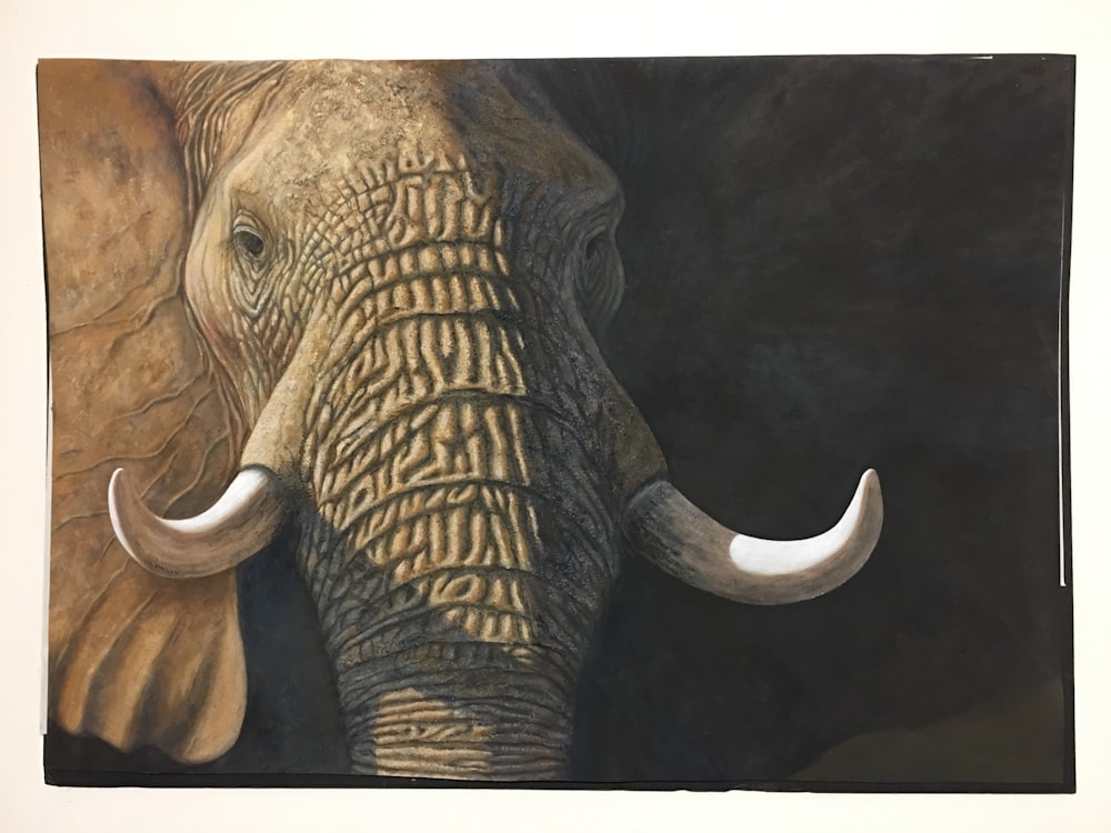 peinture éléphant gris