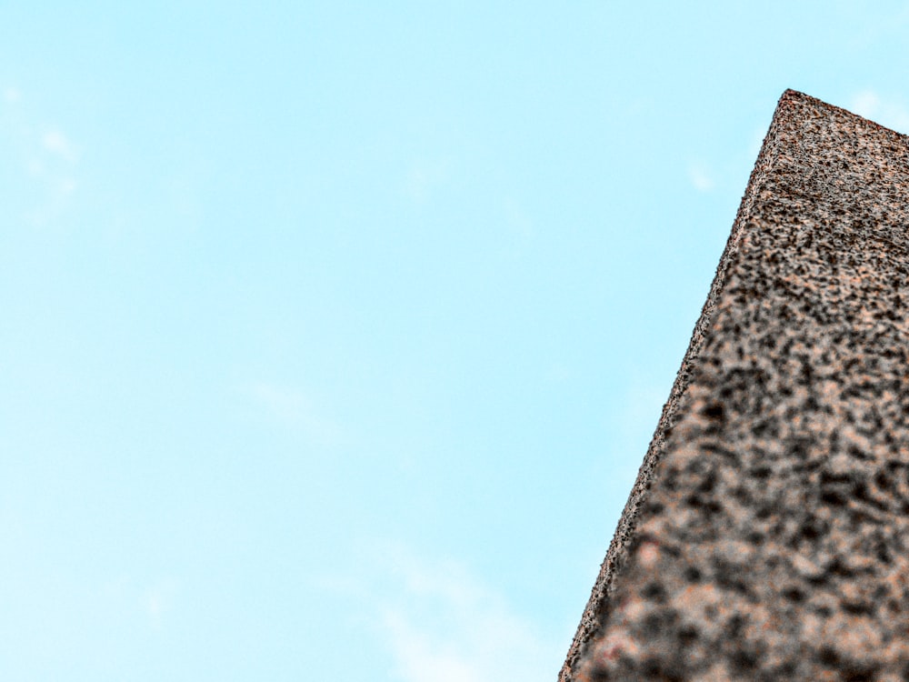 a bird is perched on top of a building