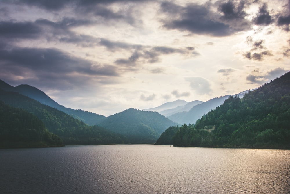 green trees near lake during cloudy day