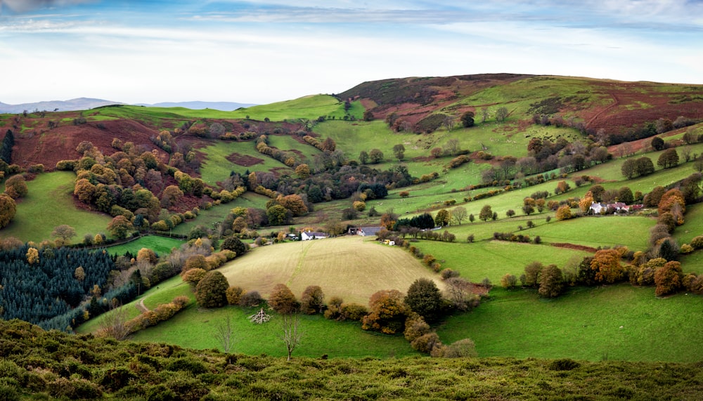 aerial photography of green field during daytime