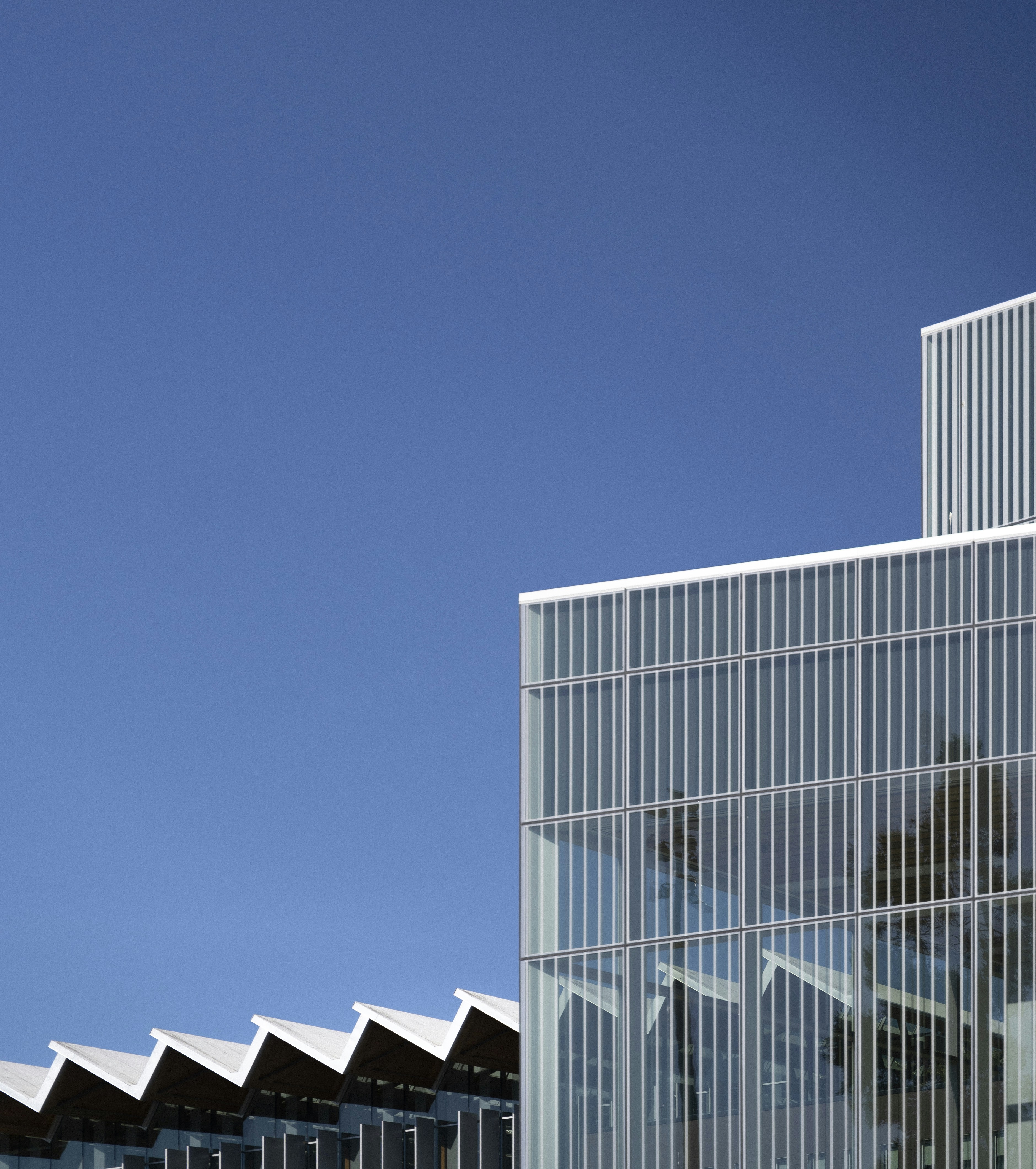 Photo by alexander_tsang