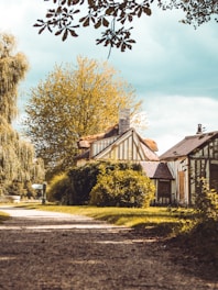 Completed wooden frame home surrounded by greenery on a sunny day.