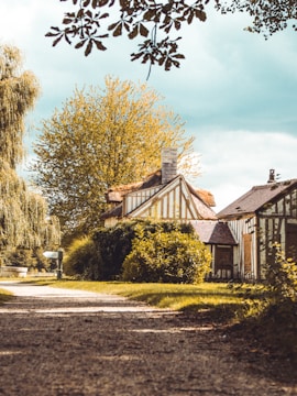 Completed wooden frame home surrounded by greenery on a sunny day.
