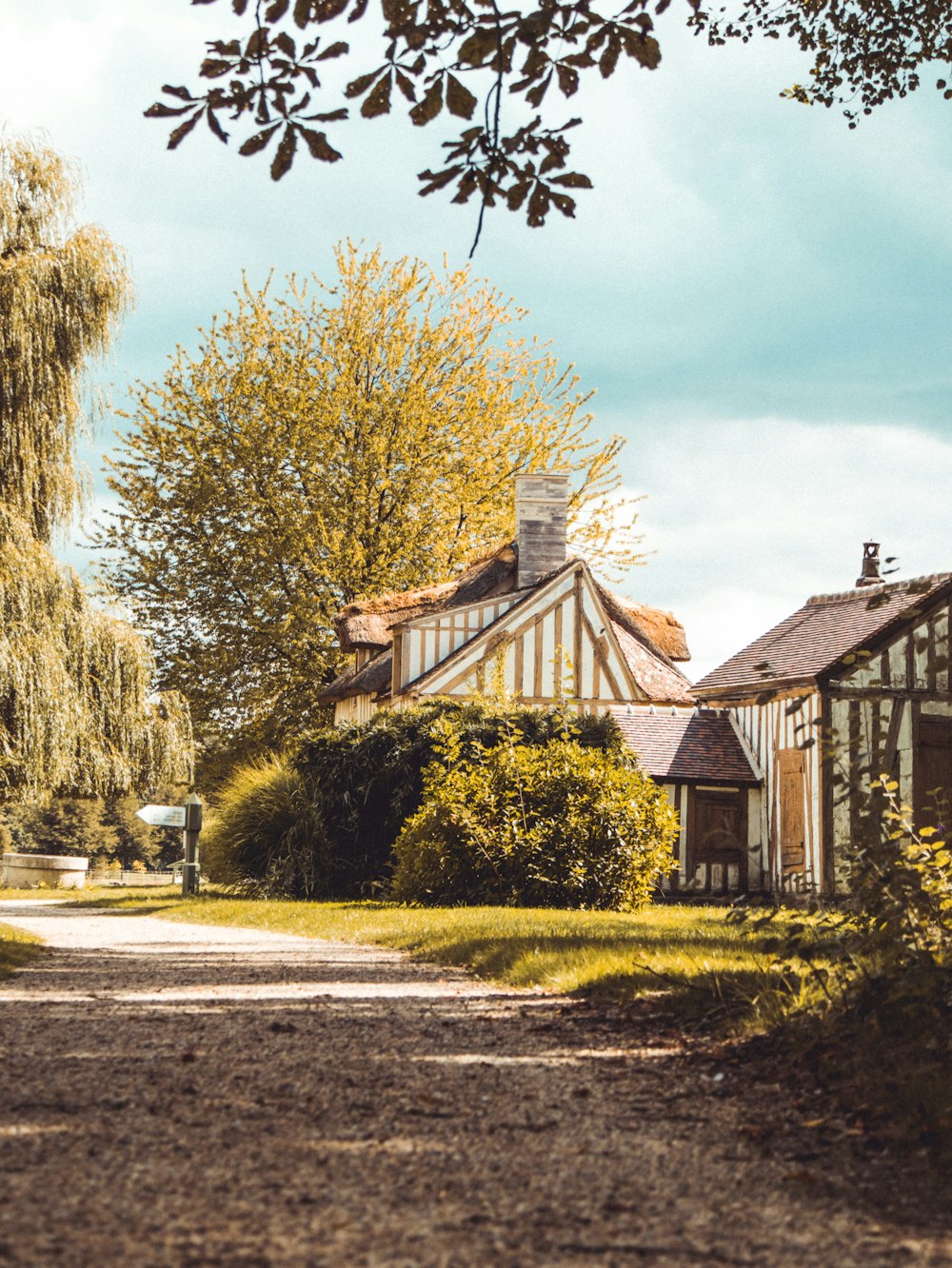 house near hedge