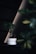 A small bonsai tree with lush green leaves sits in a sleek white ceramic pot. The background features a dark, minimalist setting with subtle diagonal lines and soft lighting. A portion of another plant or leafy structure is visible, adding depth and dimension to the composition.
