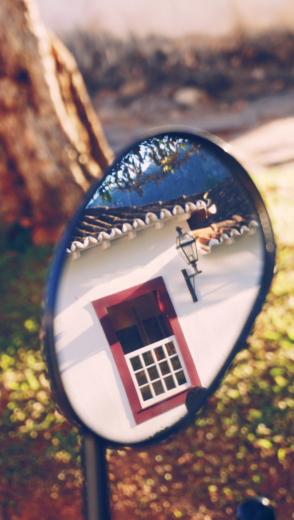 brown and white window reflection and side mirror