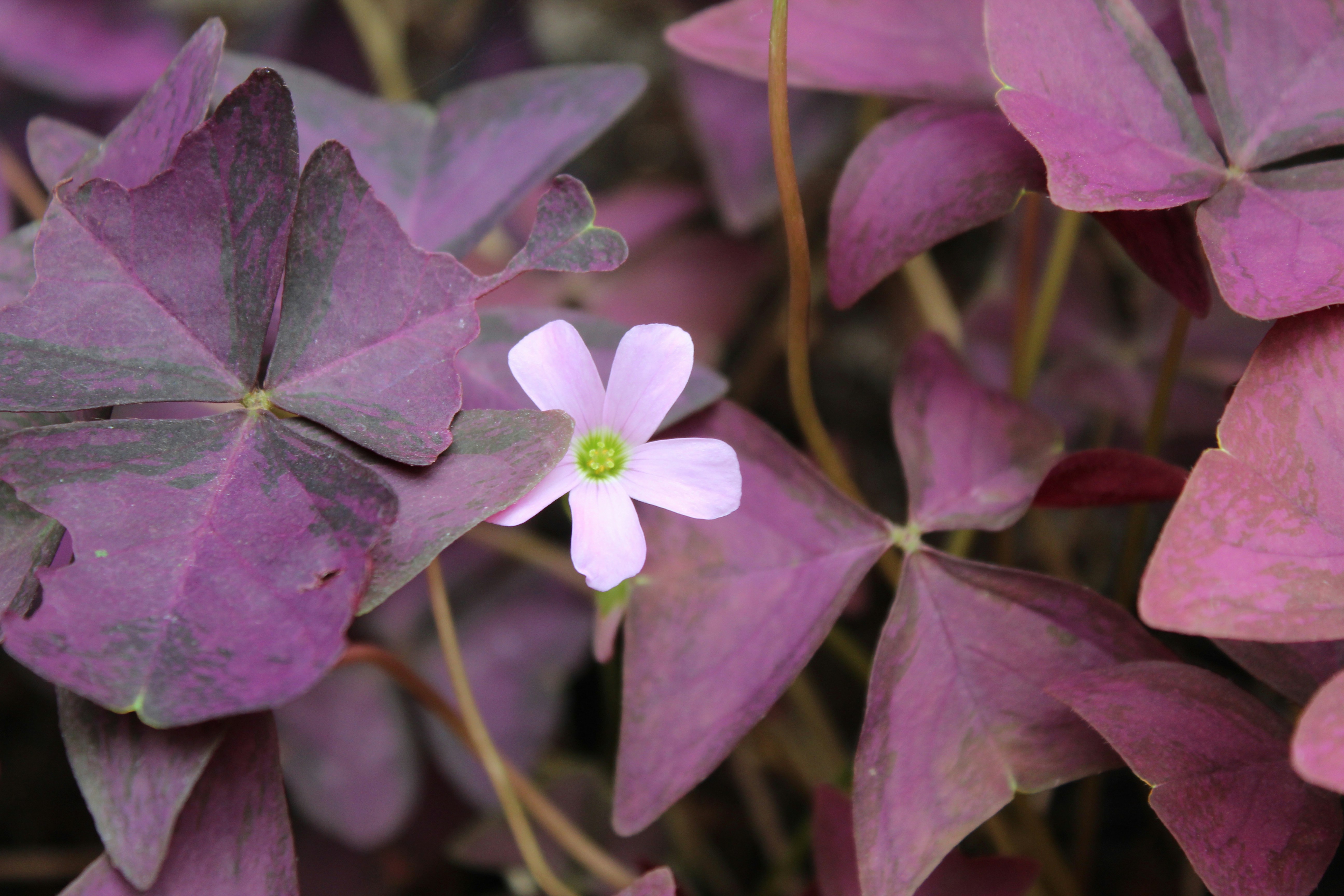 Photo by gabriel_tresch