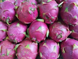 Arrangement of assorted pitahaya fruit packs ready for delivery