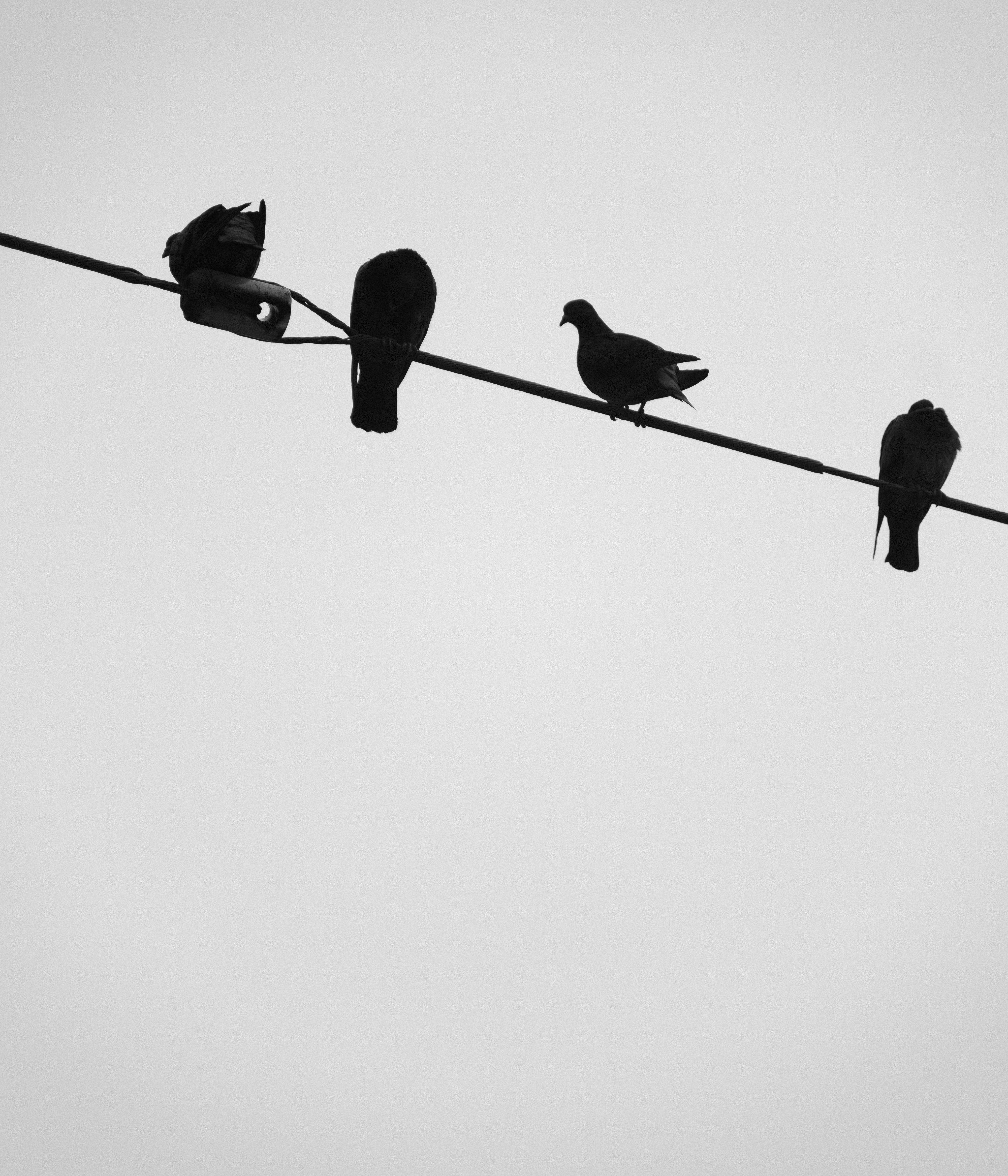 Photo by alexander_tsang