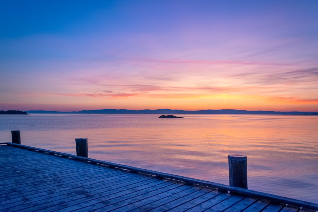 gray wooden dock during golden hour