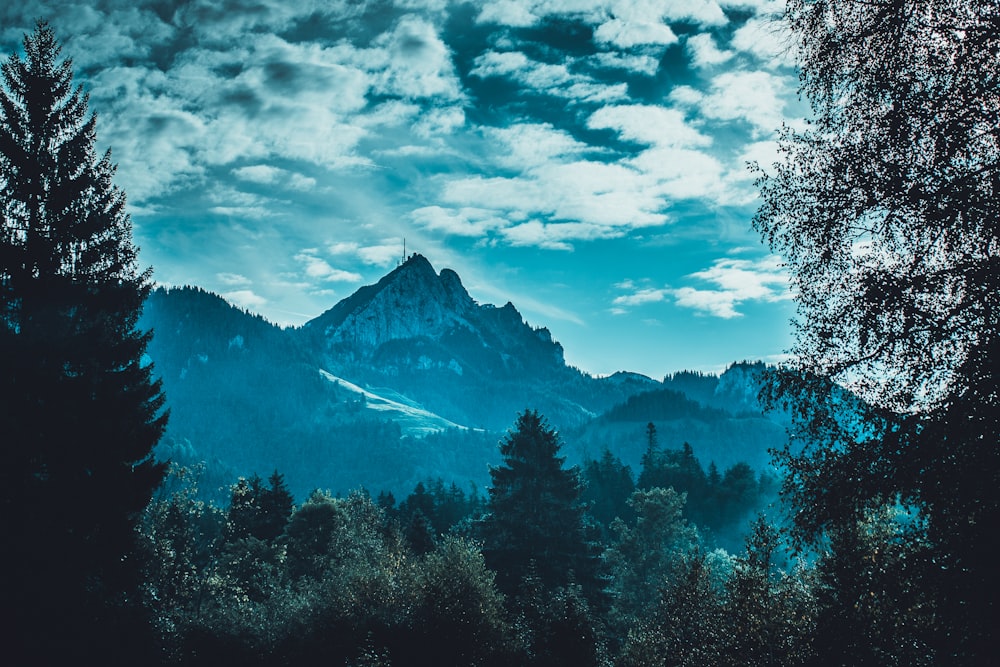 Montaña Gris durante el día