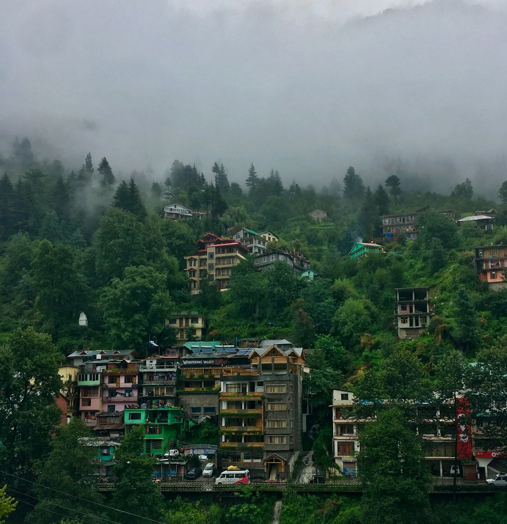 Luftaufnahmen von Häusern, die von hohen und grünen Bäumen umgeben sind, die in Nebel gehüllt sind