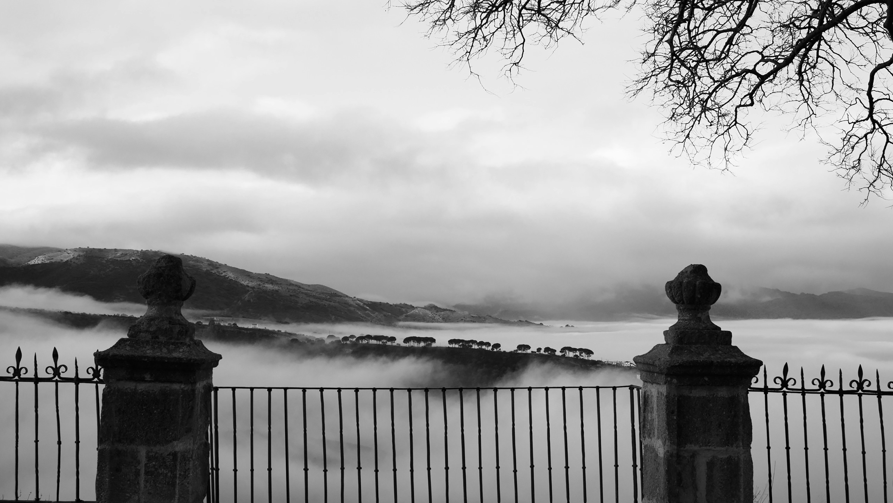 Photo by cayetanogros