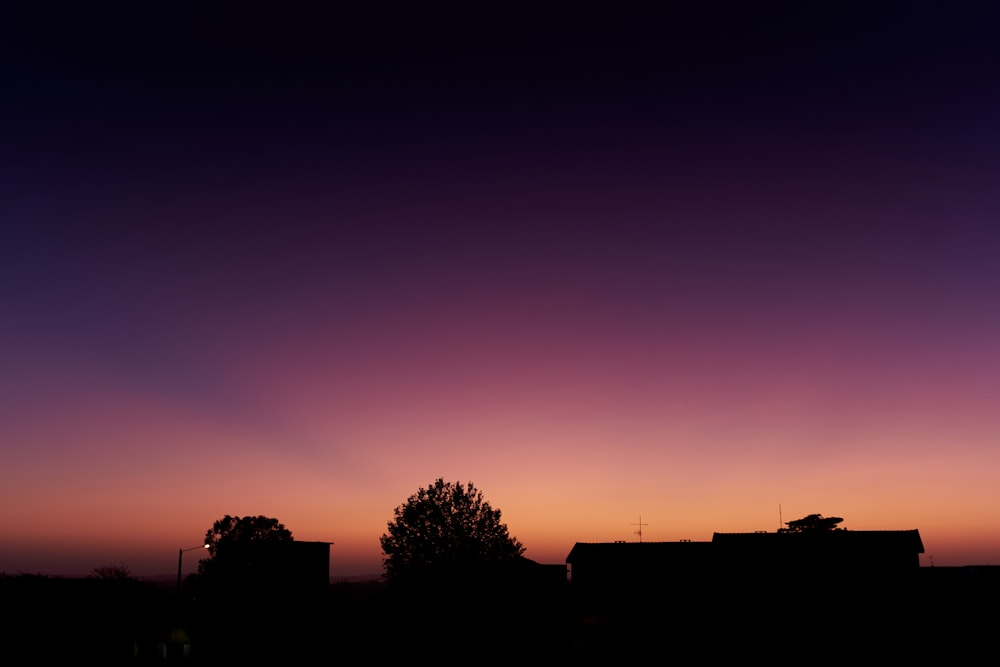 silhouette of house and trees